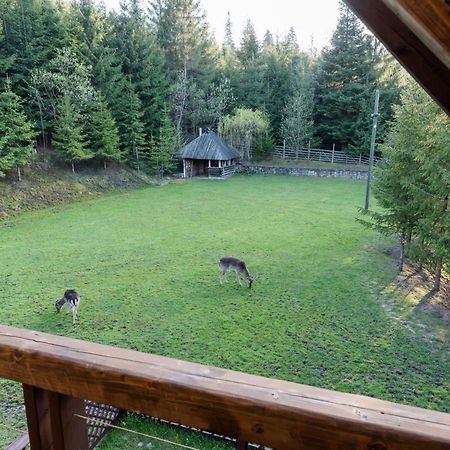 Pensiunea Casa Bunicilor Менестіря-Хуморулуй Екстер'єр фото