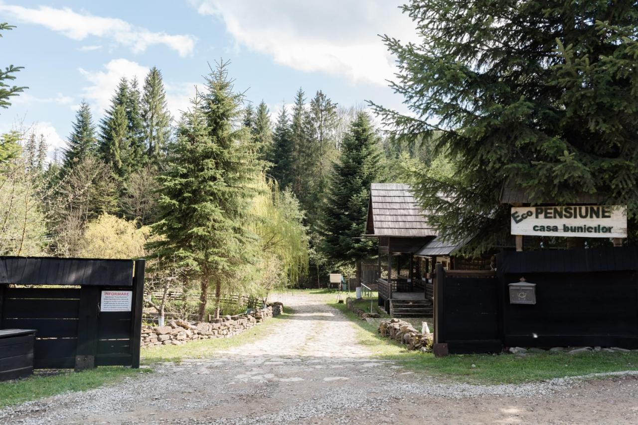 Pensiunea Casa Bunicilor Менестіря-Хуморулуй Екстер'єр фото