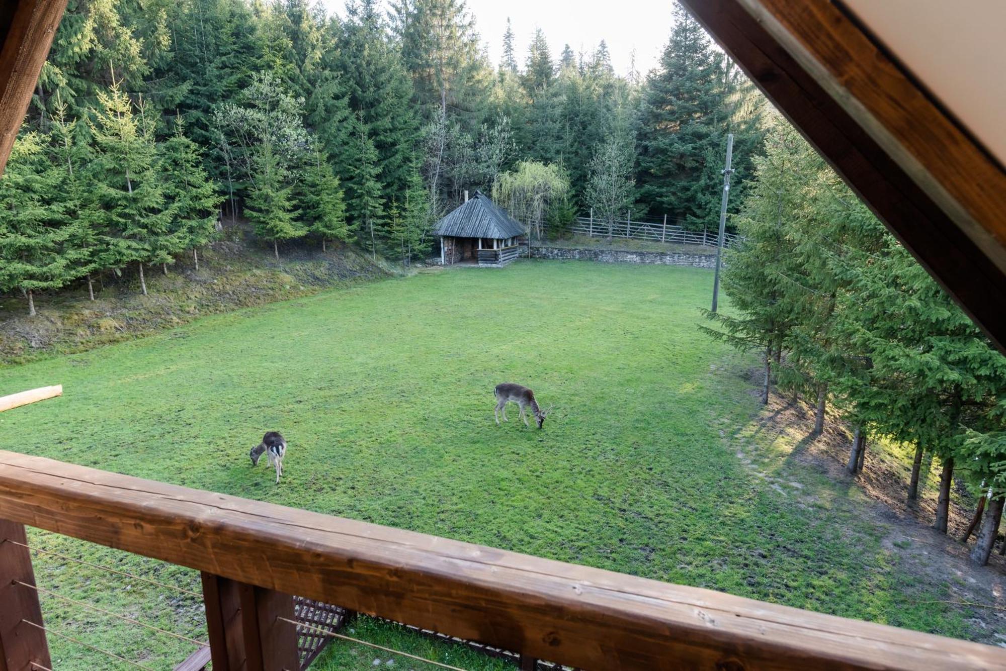Pensiunea Casa Bunicilor Менестіря-Хуморулуй Екстер'єр фото