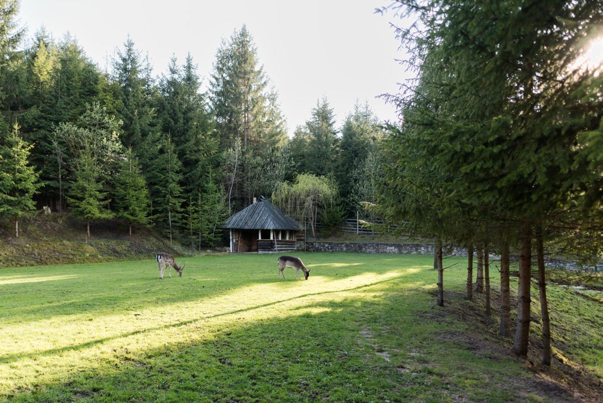 Pensiunea Casa Bunicilor Менестіря-Хуморулуй Екстер'єр фото